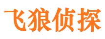 三元飞狼私家侦探公司